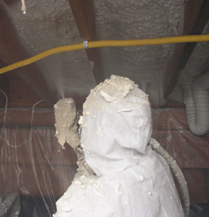 Warren NJ crawl space insulation